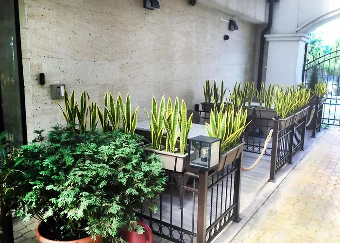 Stamopolu Lux с изглед към морето * Primorsko